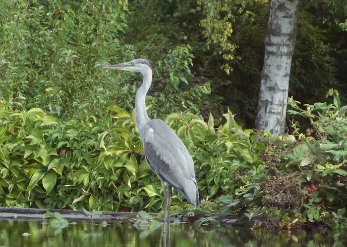 Ostseezauber